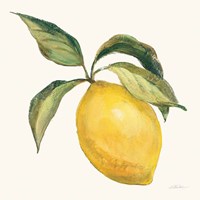 Le Citron on Cream Framed Print