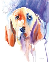 Basset Hound Fine Art Print