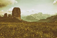 Floral Fields Fine Art Print