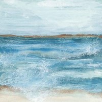 Coastal V Framed Print