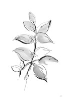 Wash Leaf I Framed Print