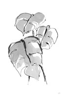 Wash Split Leaf II Framed Print