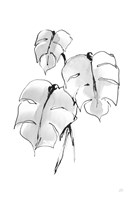 Wash Split Leaf I Framed Print