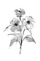 Wash Poppy II Fine Art Print