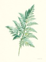 Leaf Study I Fine Art Print