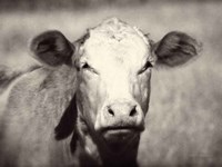 Pretty Girl Fine Art Print