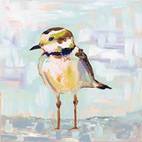 Coastal Plover II Neutral Fine Art Print
