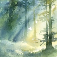 Shady Grove Fine Art Print