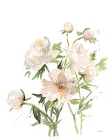 Peonies II Fine Art Print