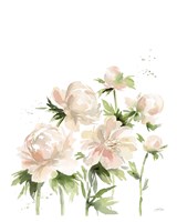Peonies I Fine Art Print