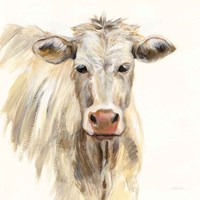 White Cow Fine Art Print