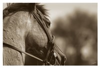 Logan Fine Art Print