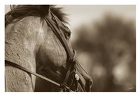 Logan Fine Art Print