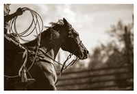 Ricky Fine Art Print