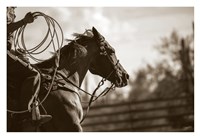 Ricky Fine Art Print