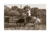 Ropin' Monte Fine Art Print