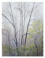 Early Spring Fine Art Print