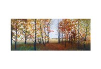 Autumn Walk Fine Art Print