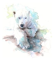 Polar Bear Fine Art Print