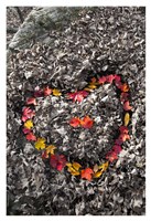 Love in the Leaves Fine Art Print