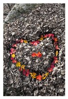Love in the Leaves Fine Art Print
