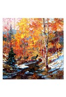 Elk and Aspens Fine Art Print