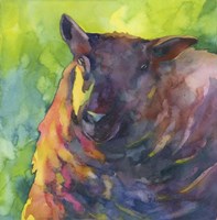 Baa Baa Black Sheep Fine Art Print