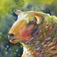 Ewe Look Baa - Velous Fine Art Print