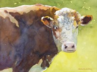 Maybell Fine Art Print