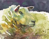 Sheep III Fine Art Print