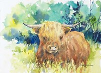 Steer I Fine Art Print
