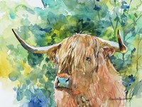 Steer II Fine Art Print