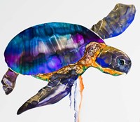 Sea turtle Fine Art Print