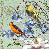 Oriole Bird Botanical Framed Print