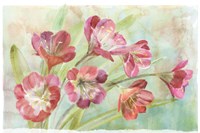 Bowing Clevia Fine Art Print