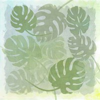 Monstera Water Fine Art Print