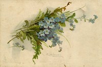 Forget-Me-Not Fine Art Print