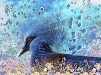 Colorful Bird Fine Art Print