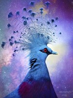 Beautiful Bird Fine Art Print
