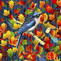 Beauty Of Fall Fine Art Print