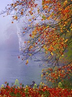 Autumn Beauty Fine Art Print