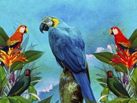 Bird Kingdom 4 Fine Art Print