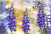 I Love Purple Flowers Fine Art Print