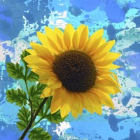 Sunflower 1 Fine Art Print
