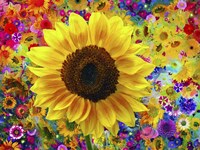 Sunflower 2 Fine Art Print
