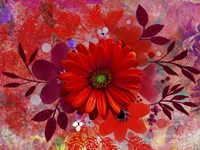 All Red Fine Art Print