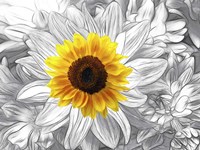 Stars 3 Fine Art Print