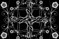 White in Black Fine Art Print