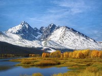 Winterfall Fine Art Print