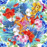 Emotional Journey 14 Fine Art Print